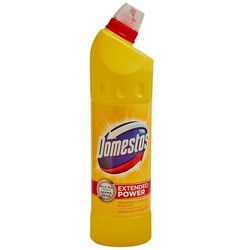 Domestos Extended Power 750ml Citrus Fresh (20) 